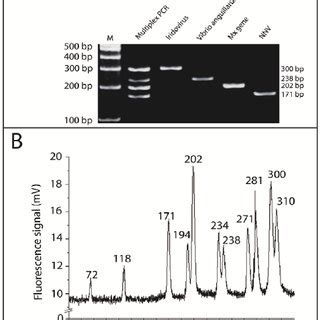 Optimization Of The Multiplex RT PCR System The Microfluidic RT PCR