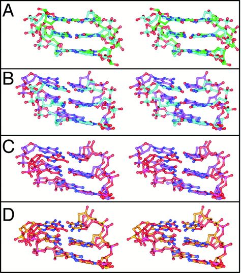 Beta Furanose Dna