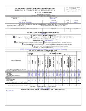 Fillable Online OMB Control Number 3046 0049 Fax Email Print PdfFiller