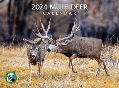 Amazon Mule Deer Wall Calendar Office Products