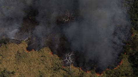 Alertas De Desmatamento Na Amaz Nia Batem Novo Recorde Em Abril