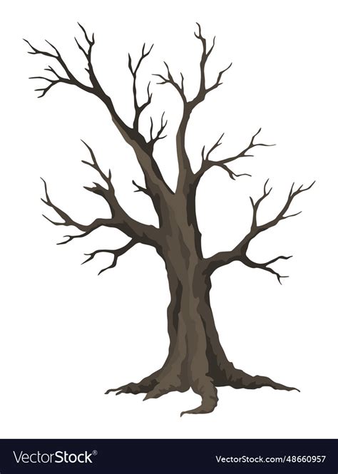 Old Dead Tree Rough Spooky Bark Dry Naked Branch Vector Image