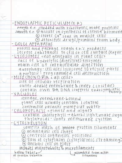 The Cell Barrons Ap Biology Workbook Th Edition Tumbex