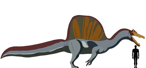 spinosaurus aegyptiacus : r/Paleoart