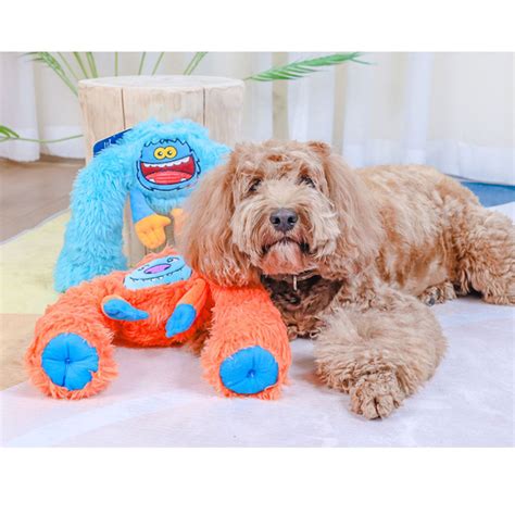 Squeaky Dog Toy Buy Dog Toys Pawsindia