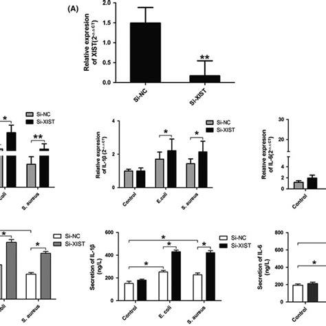 The Expression Levels Of Pro‐inflammatory Cytokines In Xist Knockdown