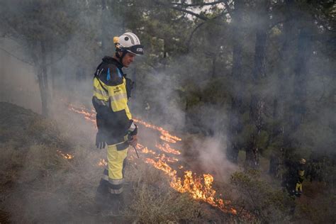 INCENDIO TENERIFE Reactivaciones En El Norte De Tenerife De Un