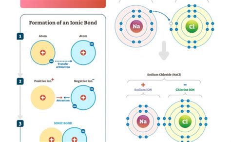 Diatomic Molecules Explained With Examples Otosection