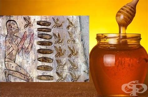 Употреба на пчелния мед в медицината на древния свят