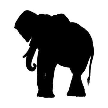 African Elephant Silhouette, Elephant Art, Elephant Vector, Elephant ...