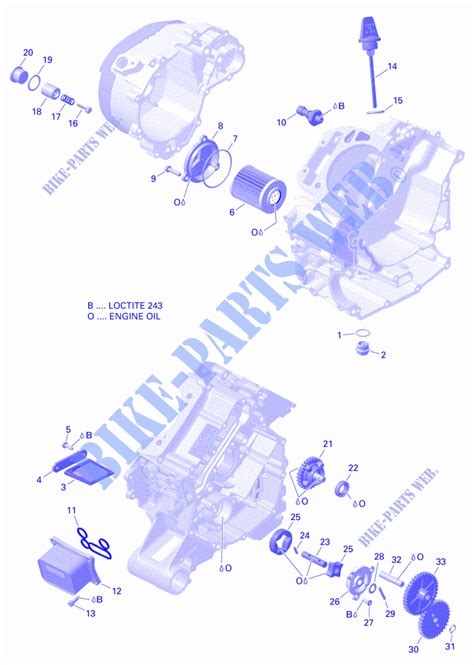 Rotax Magnéto Et Démarreur Électrique pour Can Am RENEGADE 650 T de