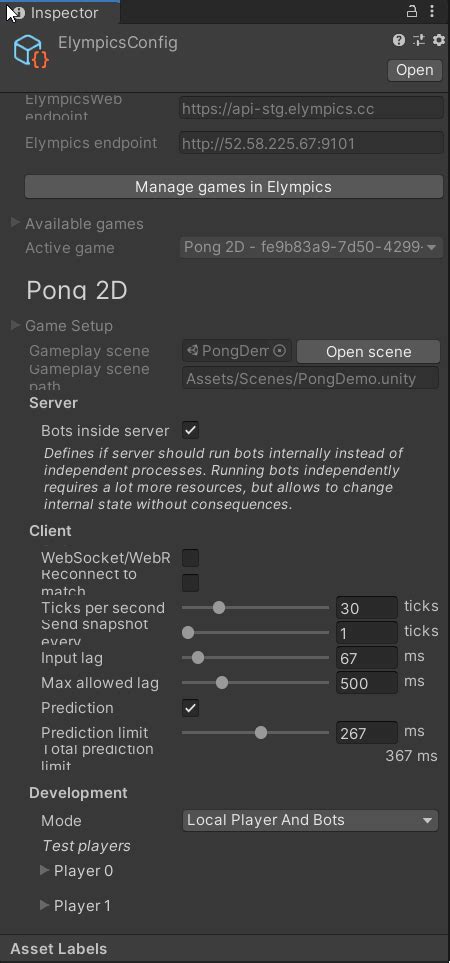 Pong D Input And State Elympics Documentation