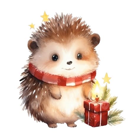 Cute Hedgehog With Christmas Light Decoration Watercolor Christmas Season Illustration