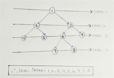 Level Order Tree Traversal Implementation In Java Codespeedy