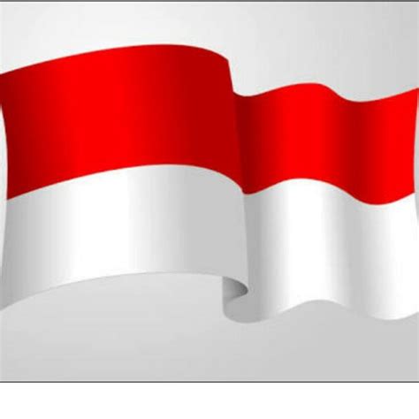 Jual Bendera Merah Putih Dekorasi Hiasan 17an 17 Agustus Bendera