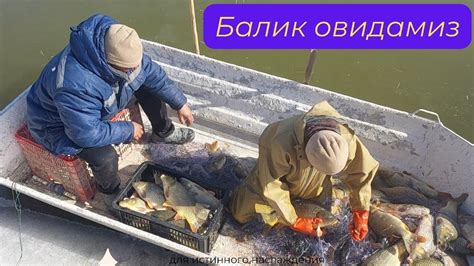 Балик овидамиз. - YouTube