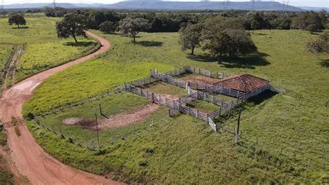 Fazenda a venda no Tocantins em Fátima TO pecuaria Lavoura agro YouTube