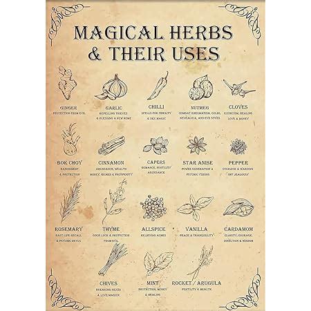 Dzquy Magical Herbs And Their Uses Witchy Poster Kitchen Witch Wall Art