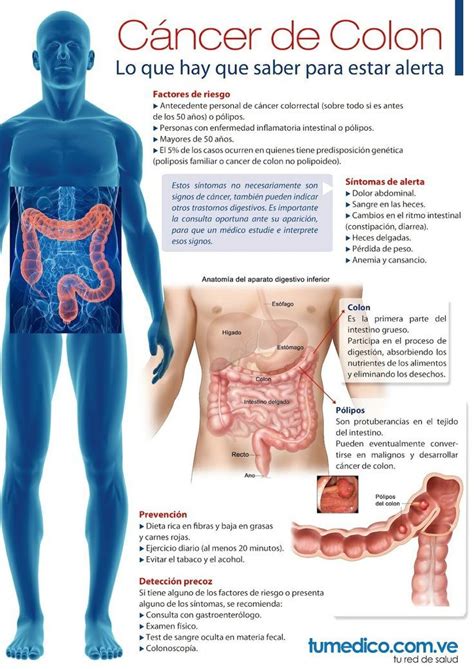 79 best images about Infografías de salud on Pinterest Tes Health