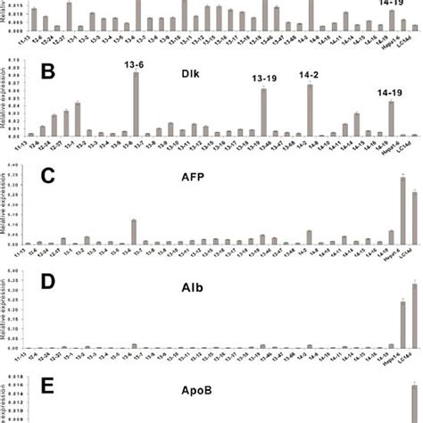 Basal Expression Levels Of The Progenitor And Hepatocyte Markers In The