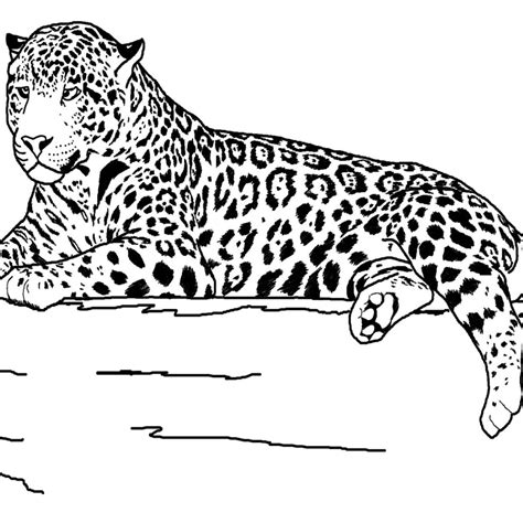 Printable Realistic Animal Coloring Pages at GetColorings.com | Free ...