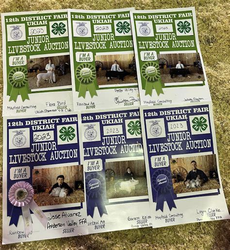 Rainbow Wags August 2023 Rainbow Ag