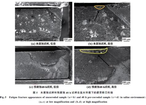 金属腐蚀检测国检检测第三方金属检测机构