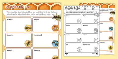 Bee Adjectives Worksheet Hecho Por Educadores Twinkl