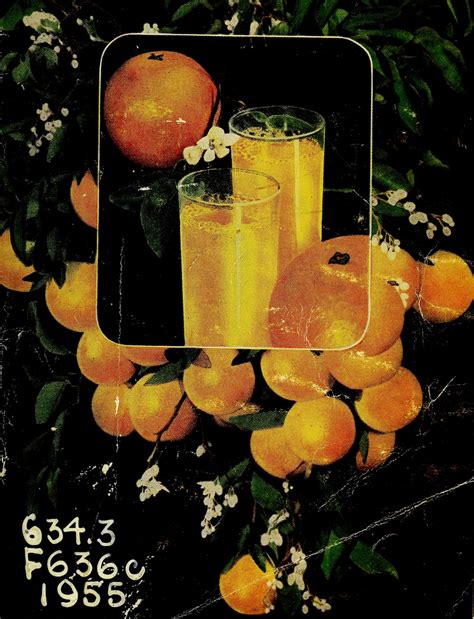 nemfrog - Citrus industry of Florida. 1955. Cover art.