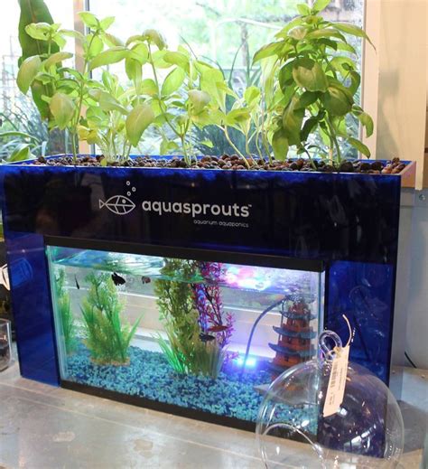 How To DIY Aquaponics The How To DIY Guide On Building Your Very Own