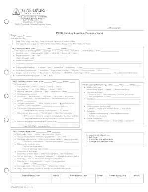 Nursing Notes Documentation Examples Complete With Ease Airslate Signnow