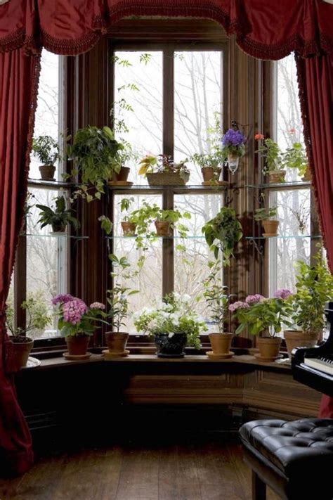 Window Design Ideas With Plant That Make Your Home Cozy More Home