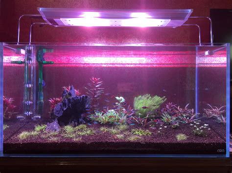 My newly setup planted aquarium. : r/Aquariums