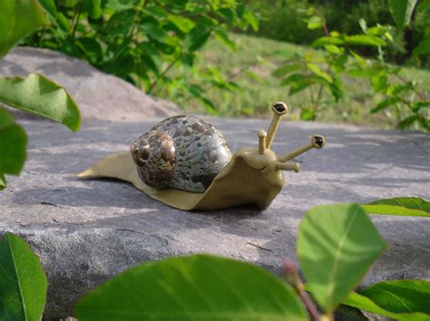 Snail Polymer Clay Snail Sculpture Shelldon The Snail 950 Via