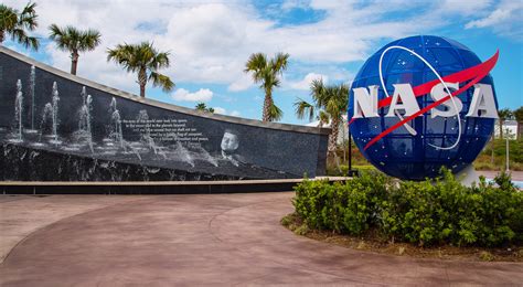 Jellyfish News Nasa Nasa Is Sending Drawings Of Nude Humans