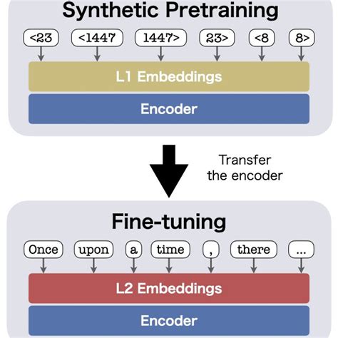 Transfer from synthetic language to natural language. The synthetic ...