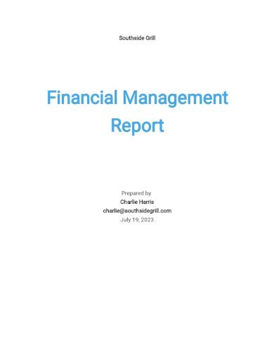 Financial Management Report 10 Examples How To Create Pdf