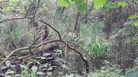 Radtour Zum Historischen Wehr Wasser Und Bodenverband Der Mittleren