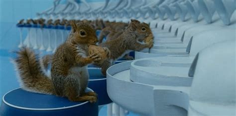 In Charlie And The Chocolate Factory Tim Burton Used Real Squirrels In