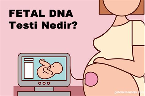 Fetal Dna Testi Nedir Neden Yapılır