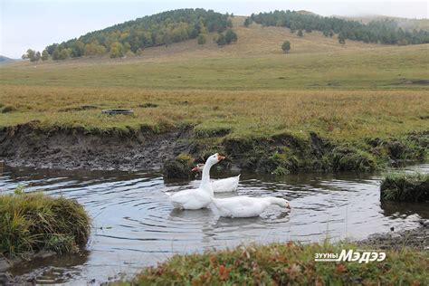 ФОТО: Намрын өнгө