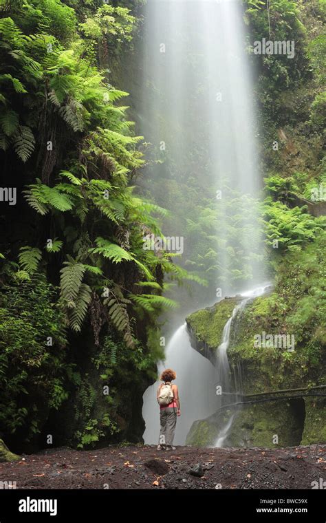 Mujer Mirando Hacia La Cascada De Los Tilos Cascada En El Parque