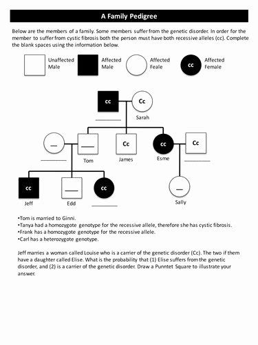 Genetics Pedigree Chart Worksheet