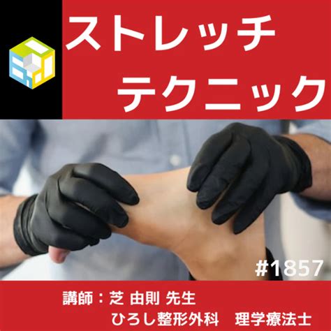 理学療法士・作業療法士のための膝・足関節痛に対するストレッチ技術とリハビリ｜pt Ot St