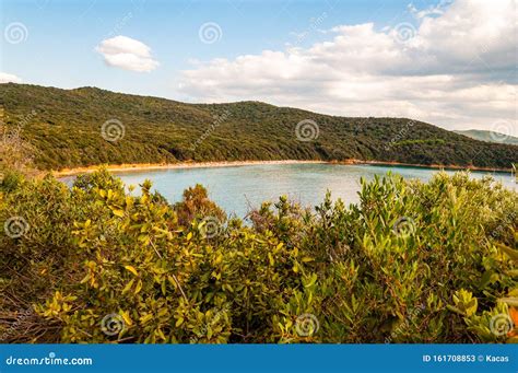 Scenic Landscape View On Cala Violina Beach And Tyrrhenian Sea Bay