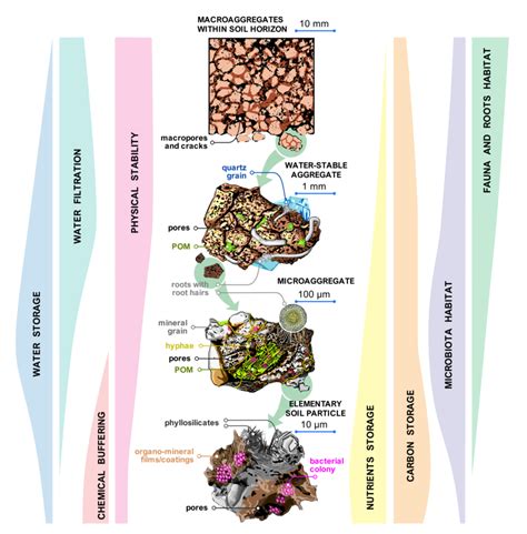 The Four Levels Of Soil Structure Hierarchy Comprising Aggregates And