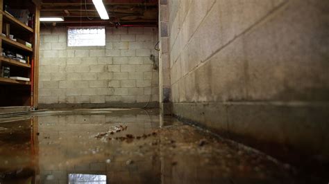 5 Basement Waterproofing Tips To Protect Your Basement Foundation Systems Of Michigan