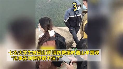 七名大学生被困山顶 消防救援时遇山羊围观