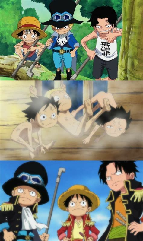 luffy zoro nami usopp sanji chopper robin franky brook jimbe onepiece video videos edits fyp ...