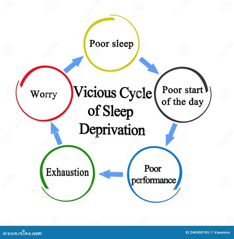 Ciclo de privação do sono ilustração stock. Ilustração de diagrama